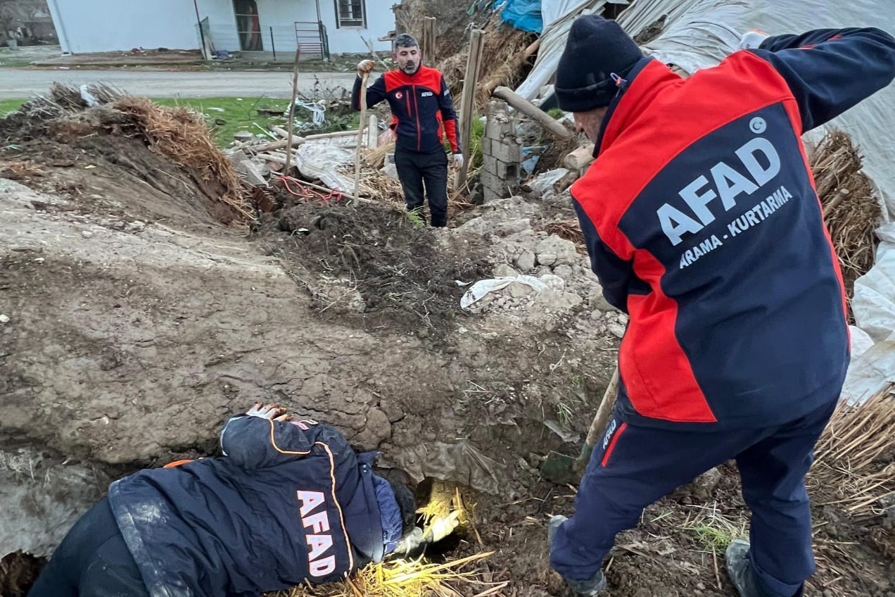 Batman’da ahır çöktü: 8 yavru köpekten 5’i kurtarıldı