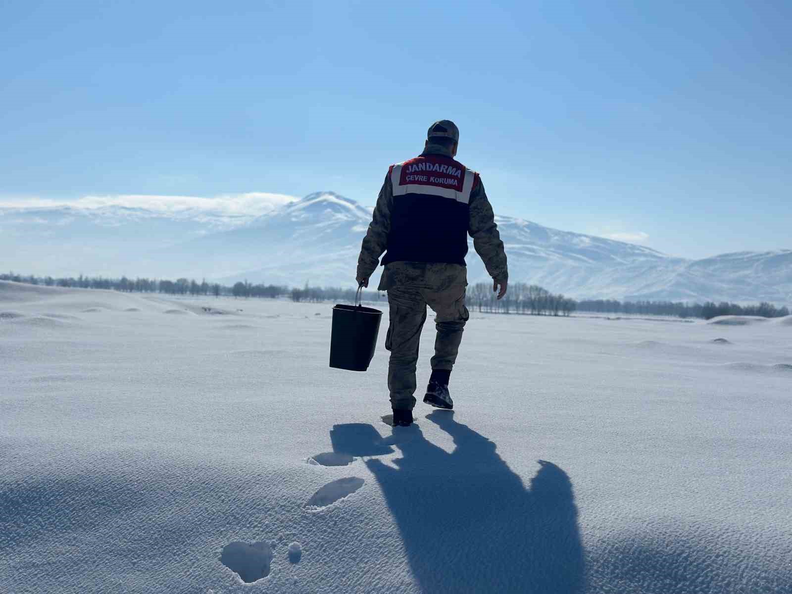 Jandarma yaban hayvanlarını unutmadı
