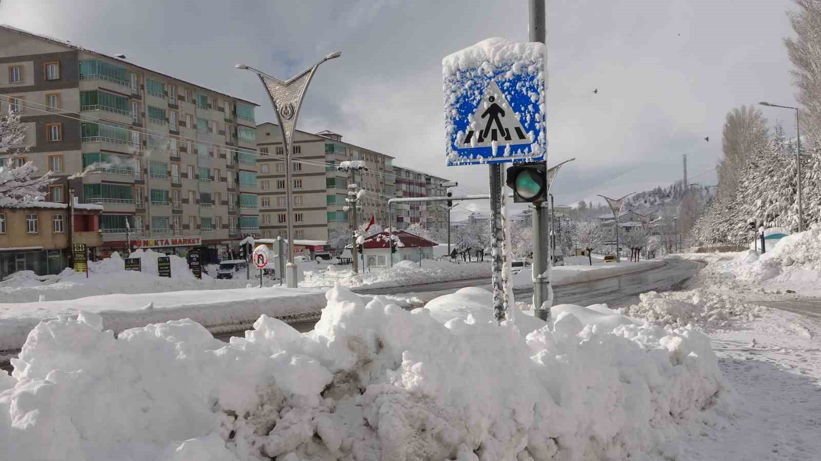 Bitlis&rsquo;te kar 315 yerleşim yolunu ulaşıma kapattı
