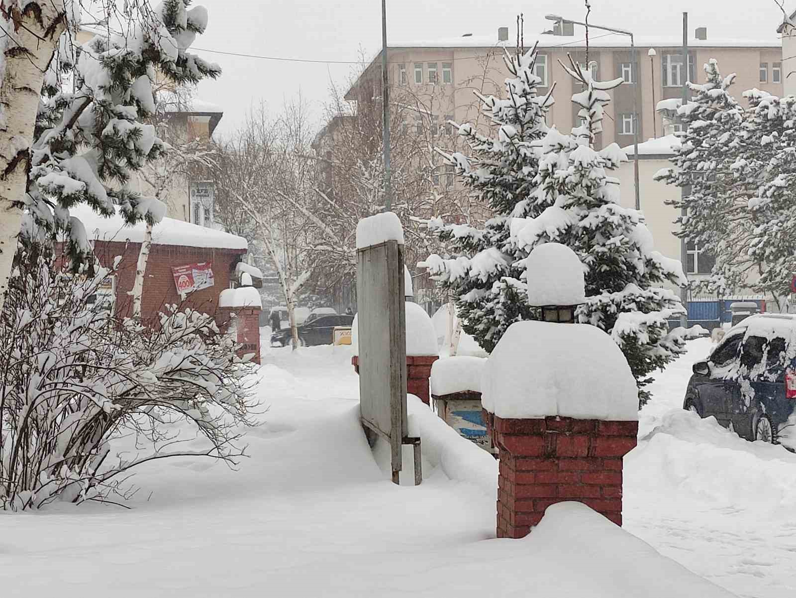 Ardahan’da kar kalınlığı 40 santimetreyi buldu, 207 köy yolu ulaşıma kapandı