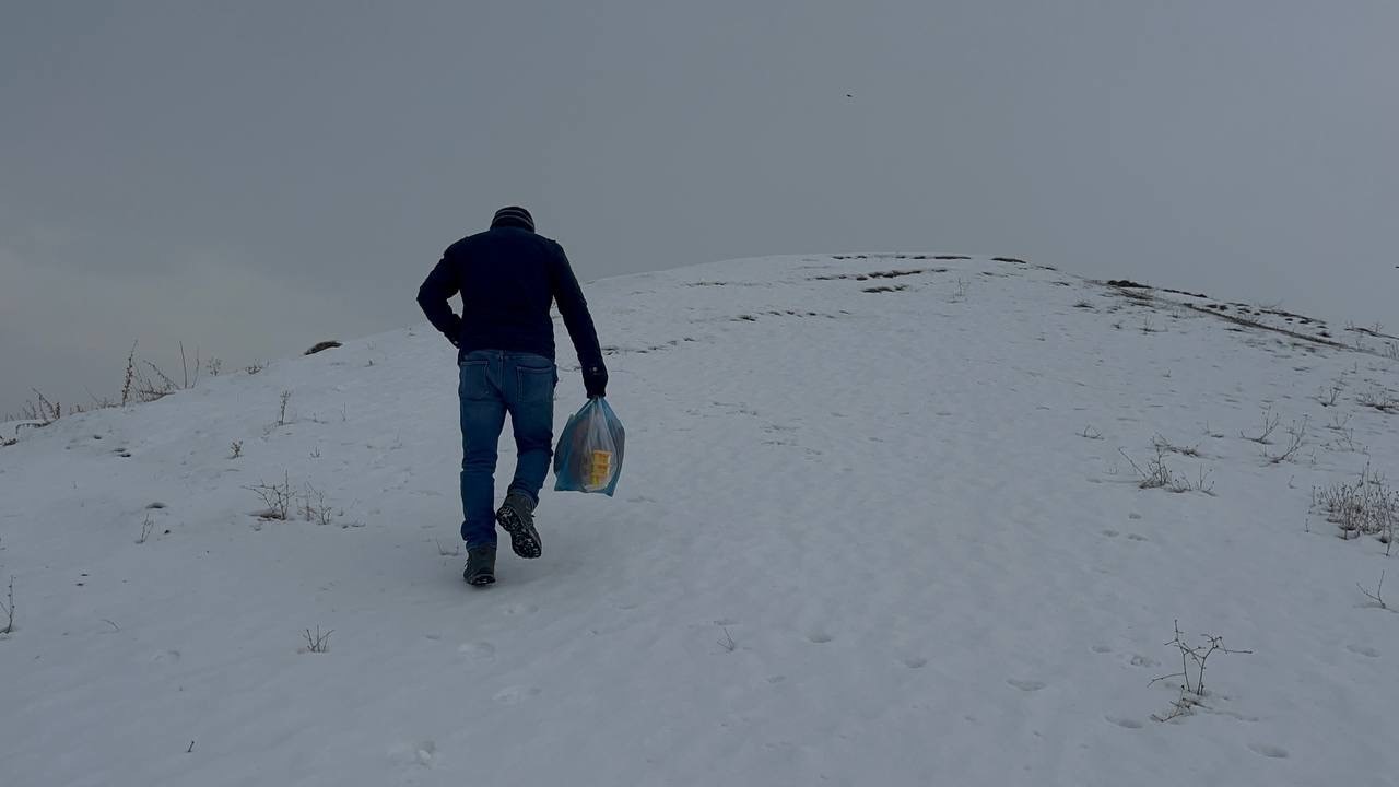 Ağrı’da kar yağışının ardından don etkili oldu
