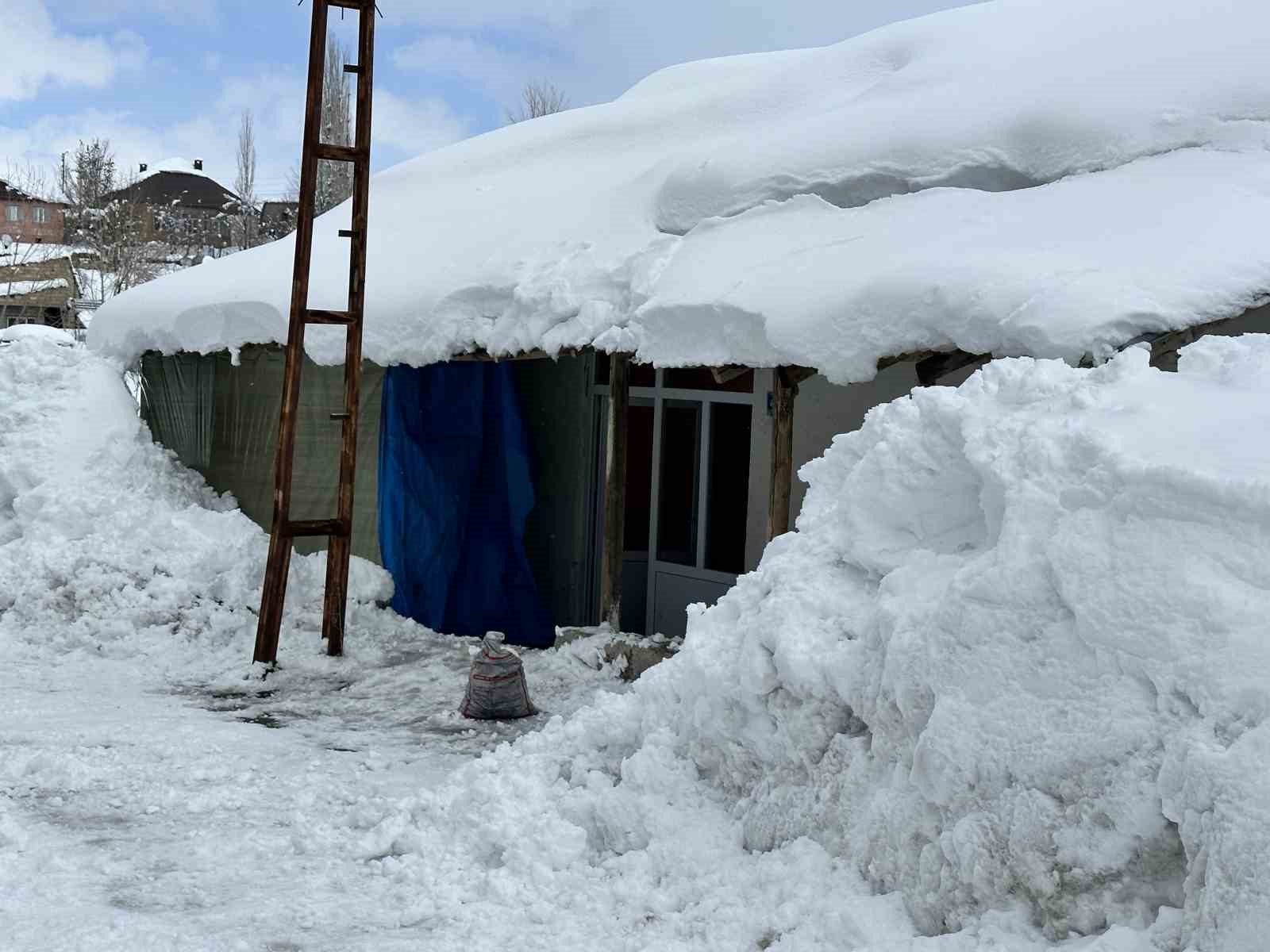 Y&uuml;ksekova kara g&ouml;m&uuml;ld&uuml;
