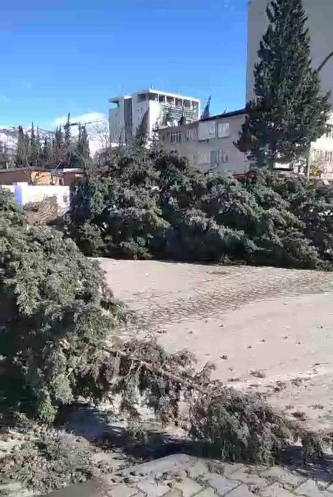 Kahramanmaraş’ta şiddetli rüzgar ağaçları kökünden söktü