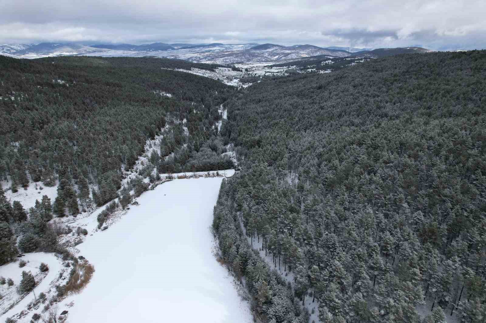 Ankara’da dondurucu soğuklar nedeniyle buz tutan gölet görenleri hayran bırakıyor