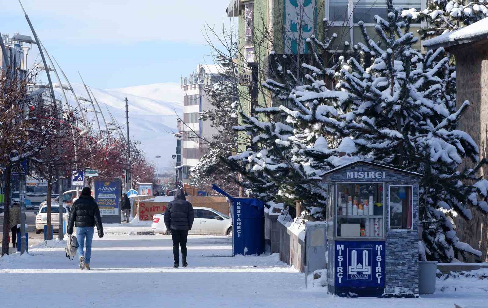 Erzurum’da termometreler -21 dereceyi gördü