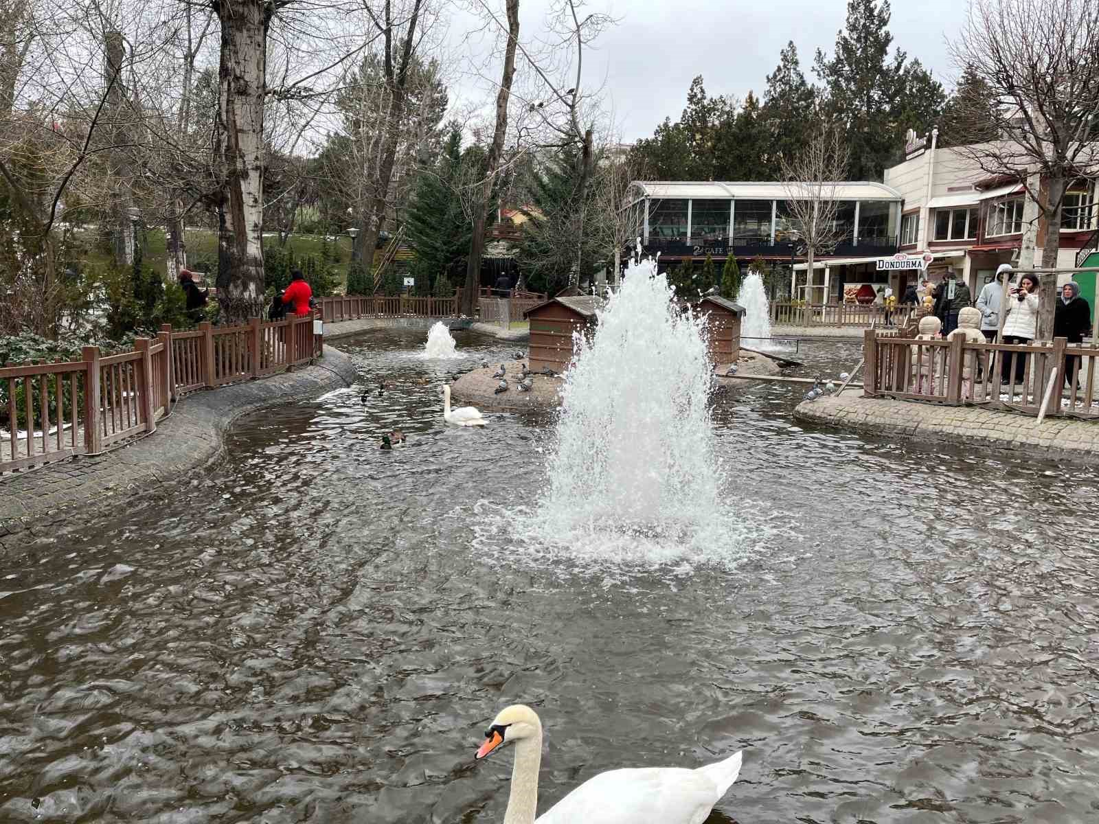 Başkentte parklar beyaza büründü
