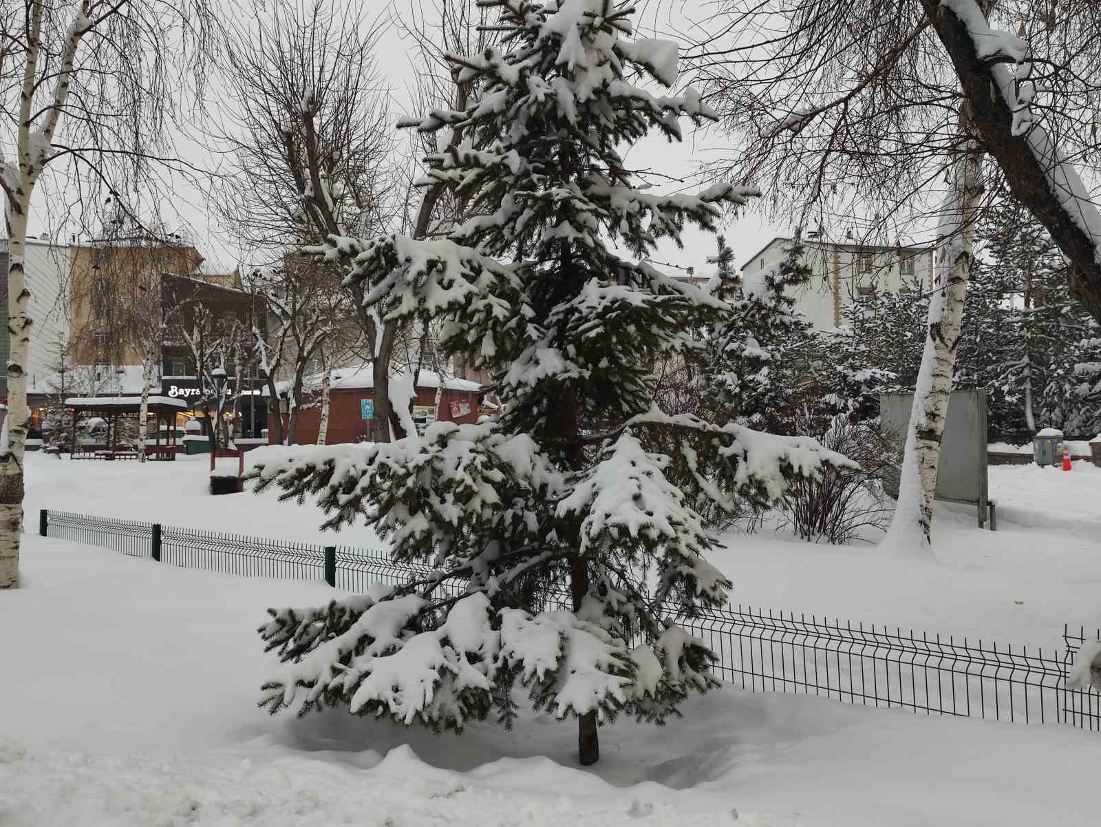 Ardahan’da karla gelen eşsiz güzellik