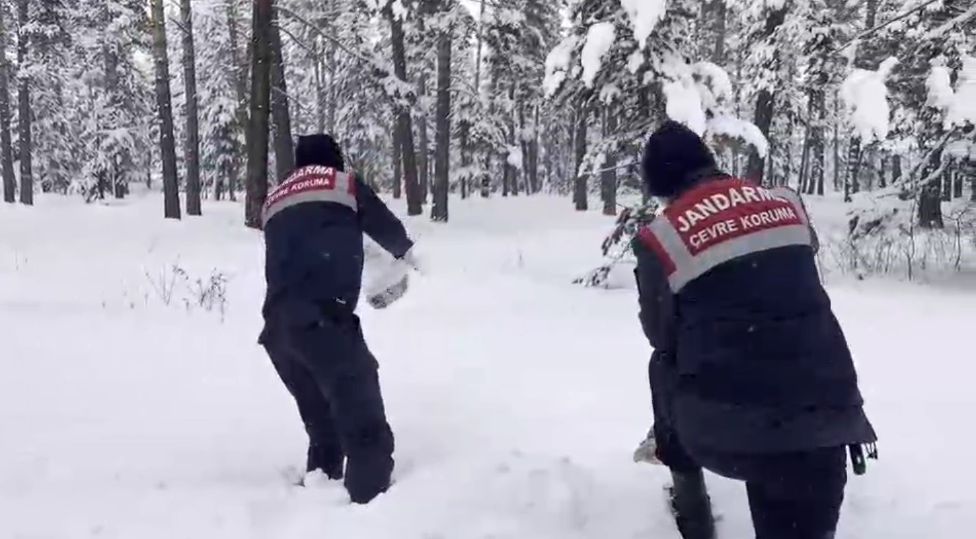 Kars&rsquo;ta jandarma yaban hayvanlarına yiyecek bıraktı

