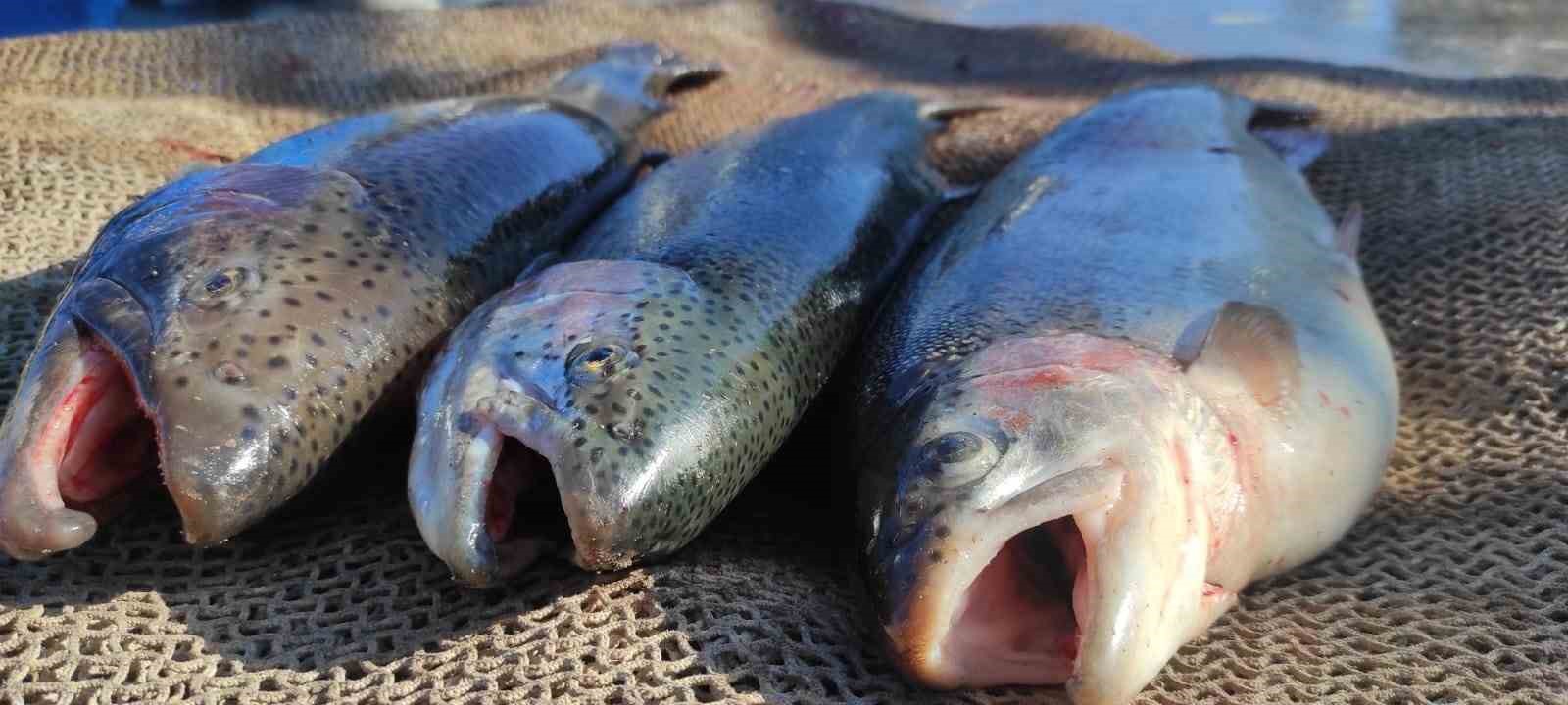 Yozgat’ta balıkçılara yönelik 504 denetim gerçekleştirildi
