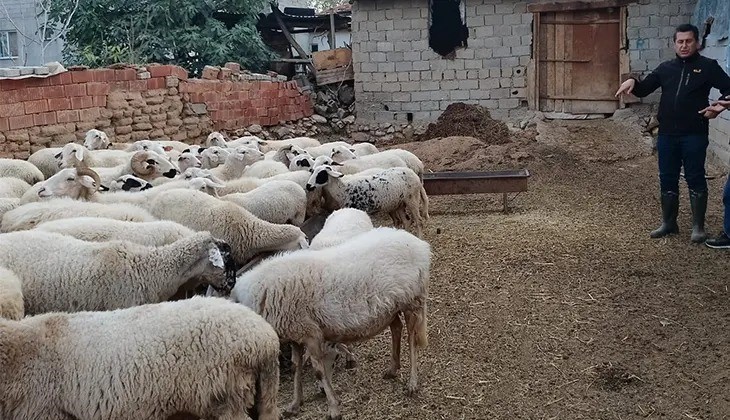 Acıpayam’ın 11 mahallesi çiçek karantinasına alındı
