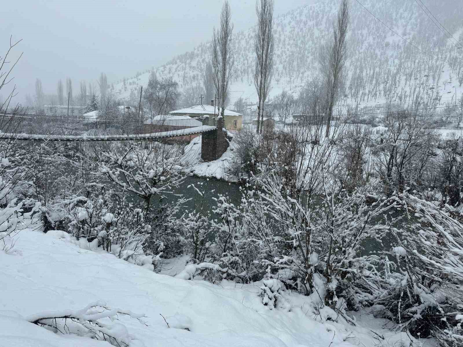 Beytüşşebap’ta ağaç dalları kar ağırlığına dayanamadı
