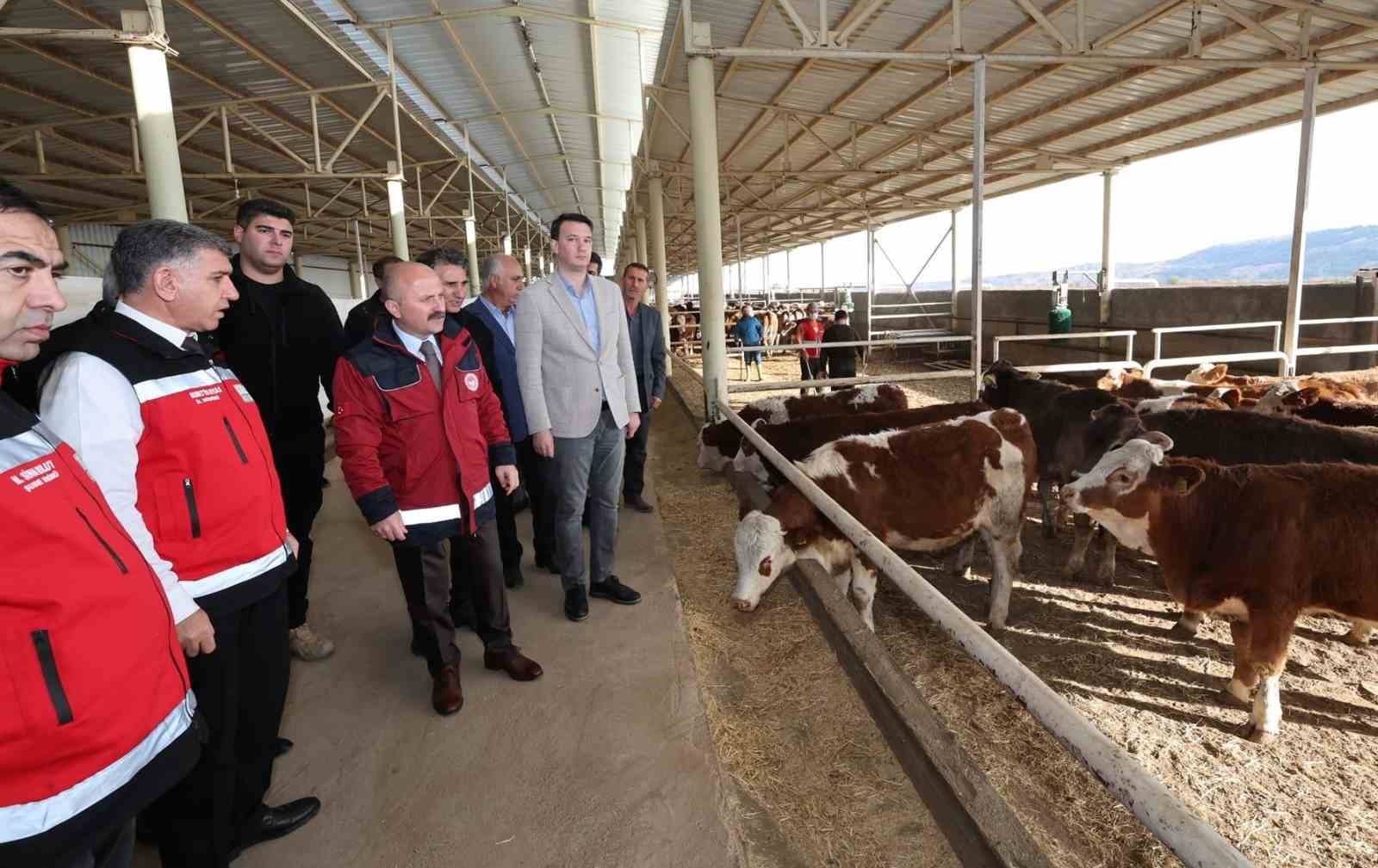 Depremde telef olan hayvanların yerine yenisi verildi
