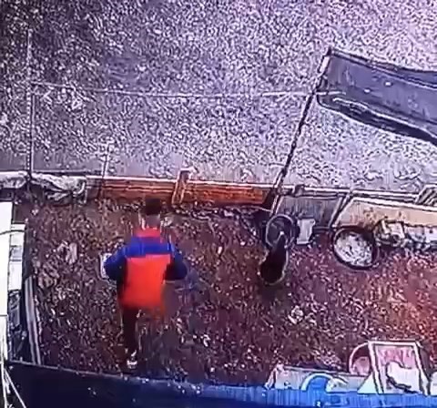 Yumurta hırsızının rahatlığı ’pes’ dedirtti