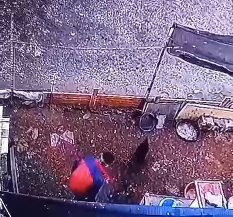 Yumurta hırsızının rahatlığı &rsquo;pes&rsquo; dedirtti
