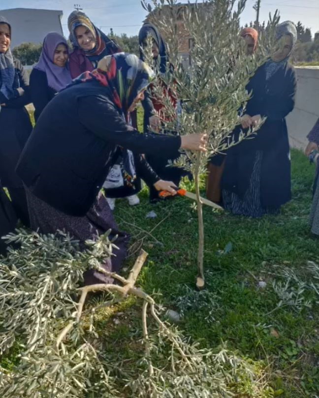 Didim’de 23 çiftçi sertifikasına kavuştu
