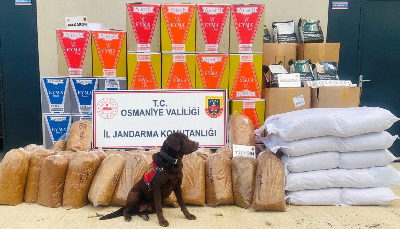 Osmaniye’de 487 kilo kaçak tütün ele geçirildi