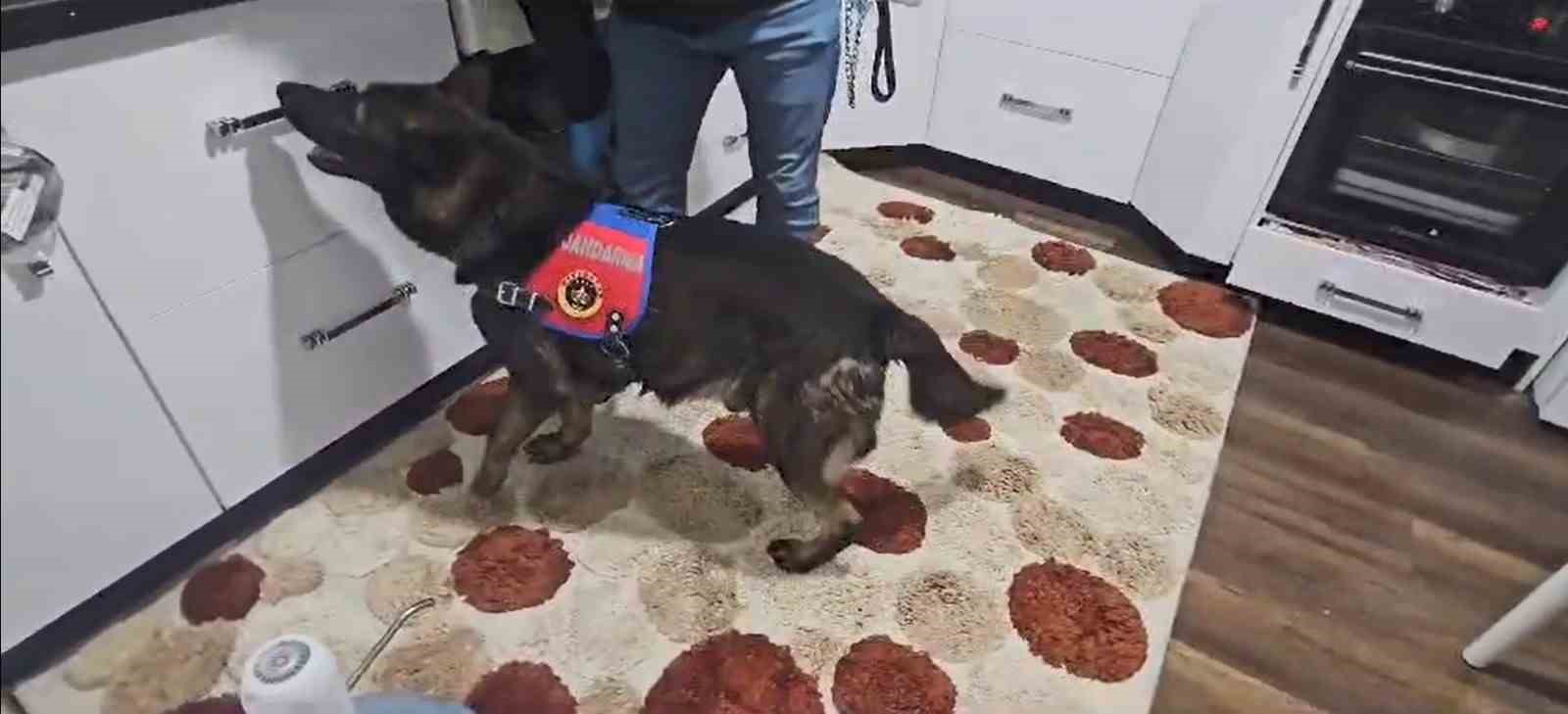 &Ccedil;anakkale&rsquo;de jandarma uyuşturucu satıcılarına ge&ccedil;it vermiyor
