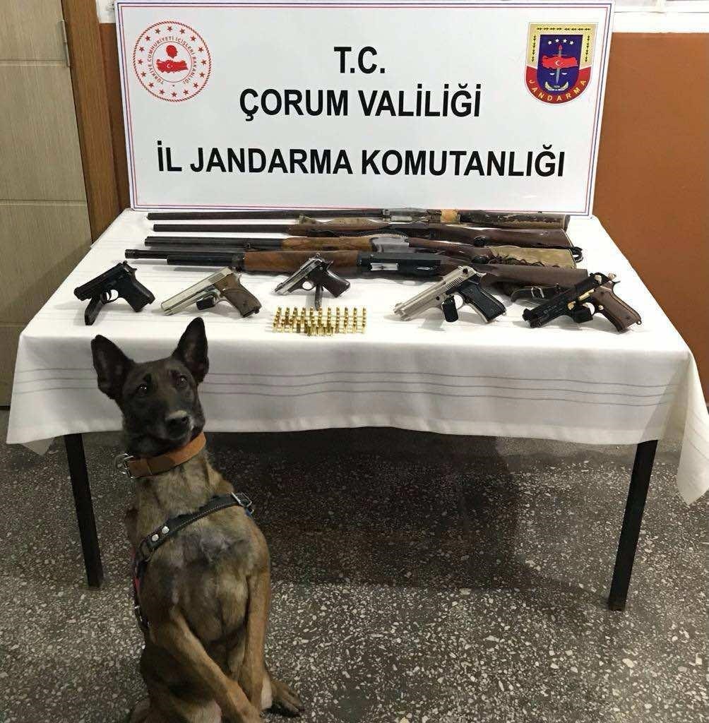 Çorum’da jandarma timleri suçlulara göz açtırmıyor