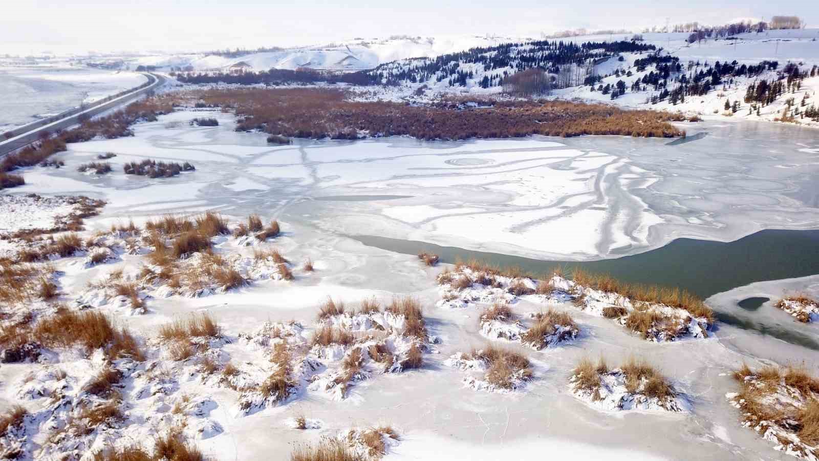 Kuş cenneti buz tuttu
