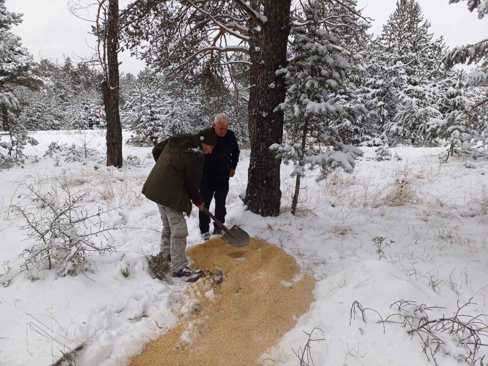 Ordu&rsquo;da yaban hayvanları i&ccedil;in doğaya yem bırakıldı
