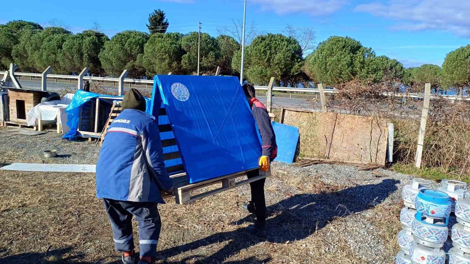 &Uuml;nye&rsquo;de sokak hayvanlarına barınak ve mama desteği
