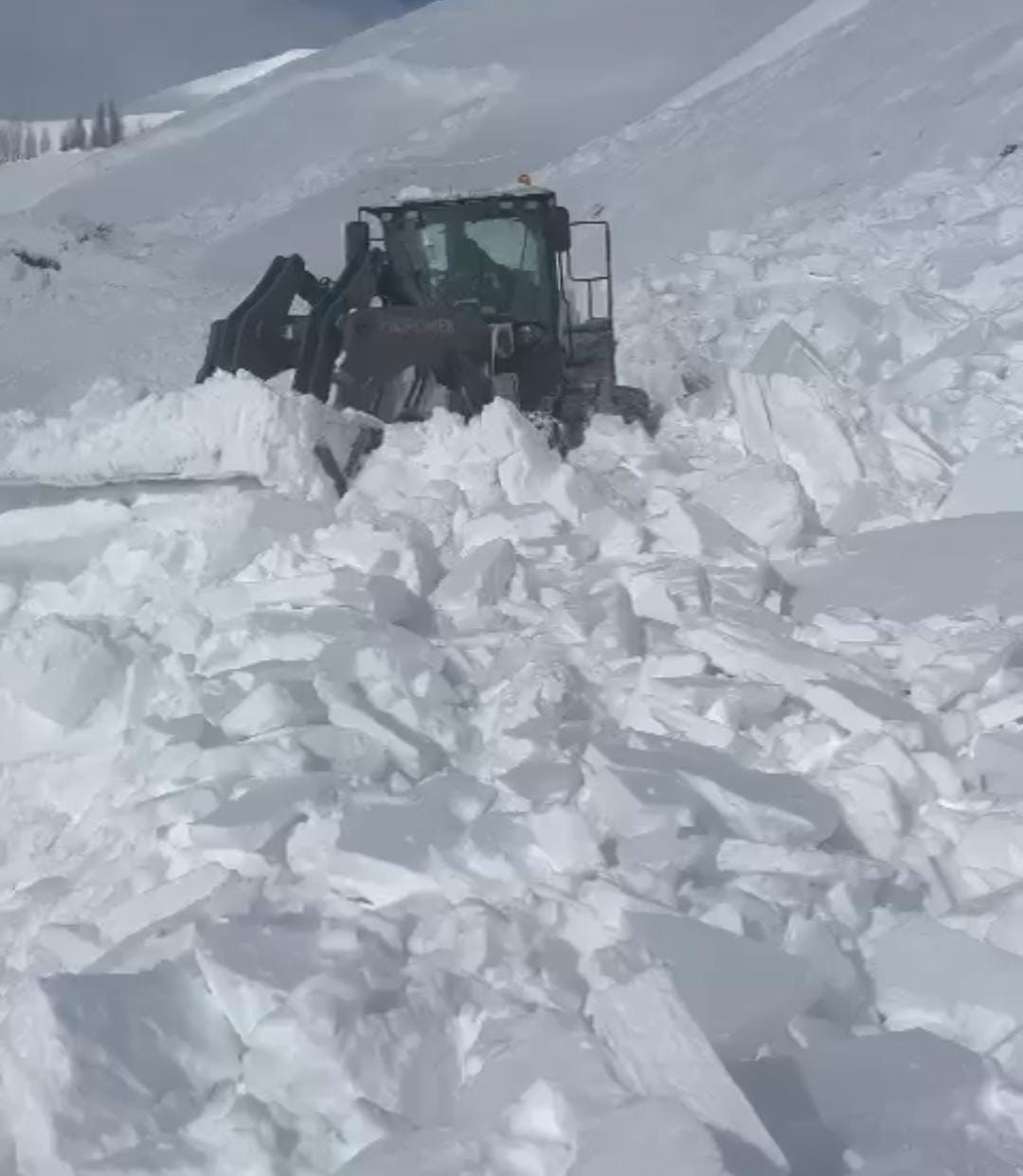 Varto’da köy yoluna çığ düştü
