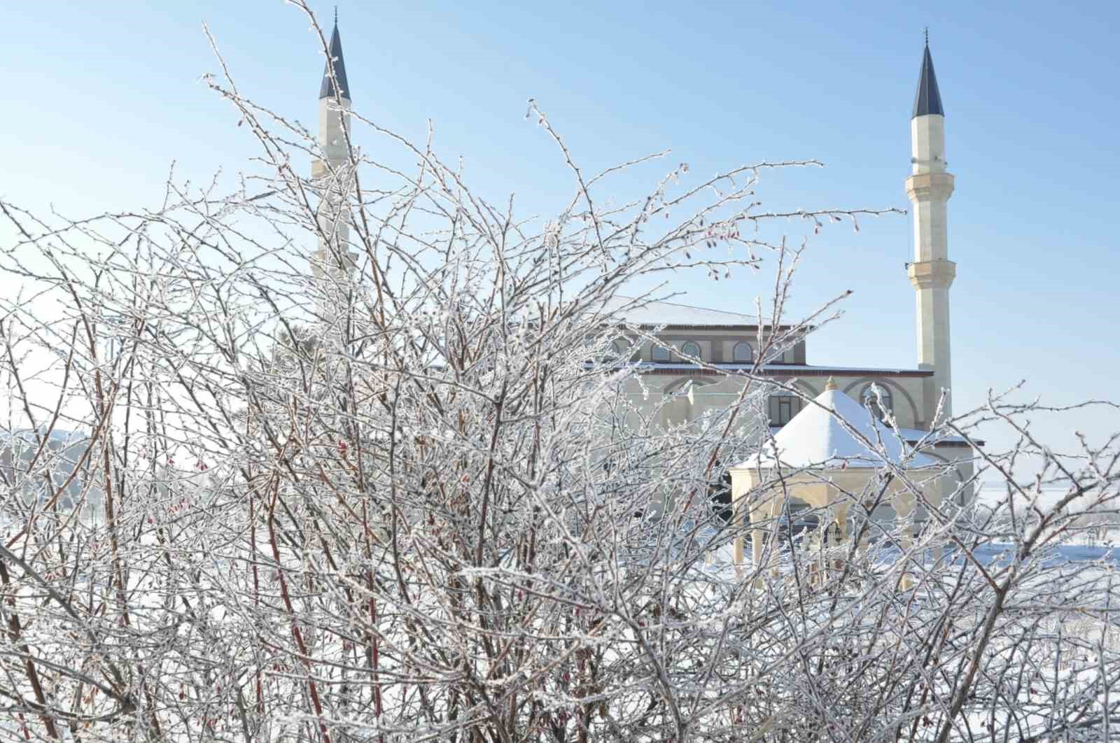 Kars dondu, ağaçlar kırağı tuttu