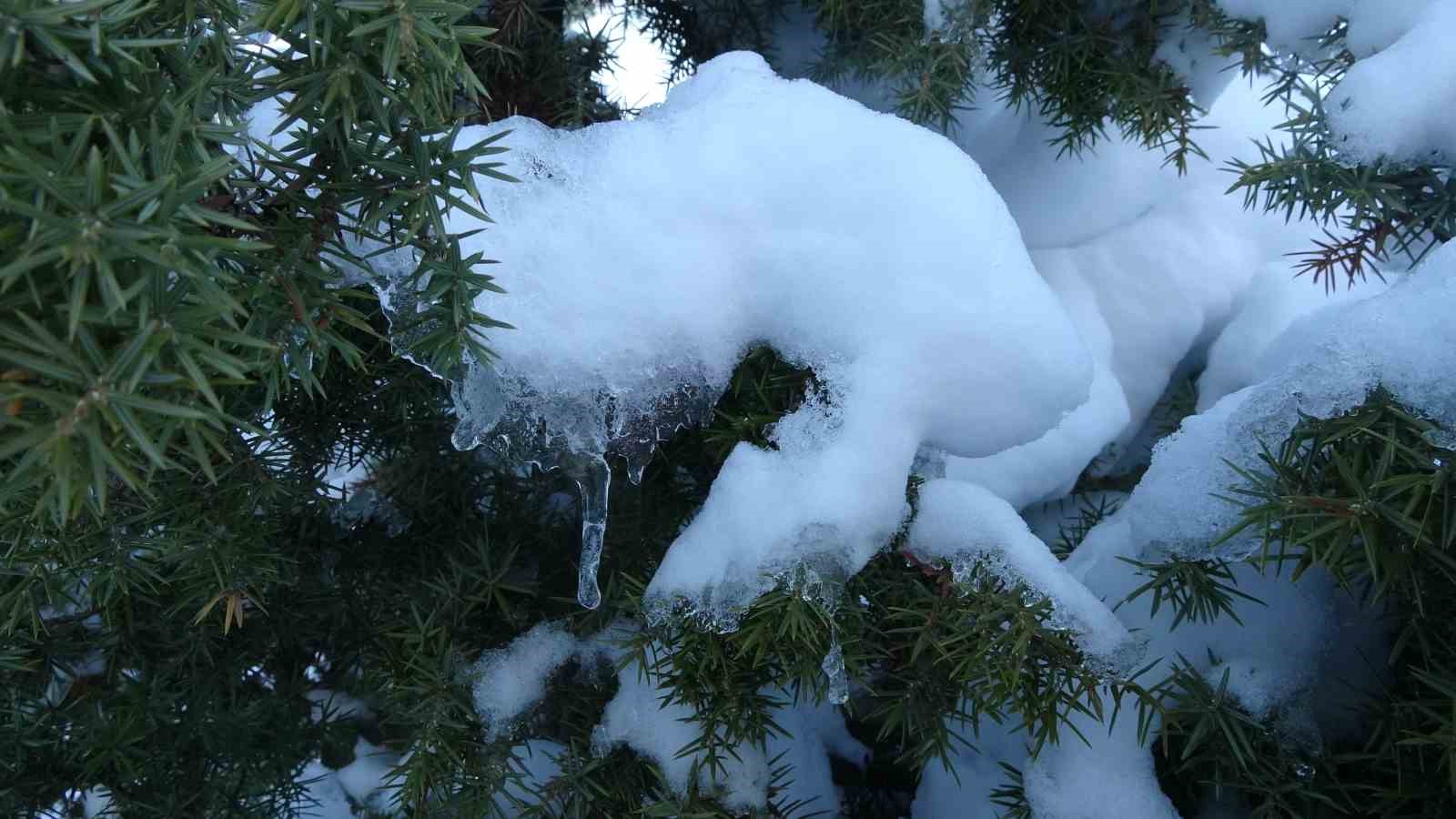 Toroslar beyaz gelinliğini giydi, izlemesi keyif veren g&ouml;r&uuml;nt&uuml;ler &ccedil;ıktı
