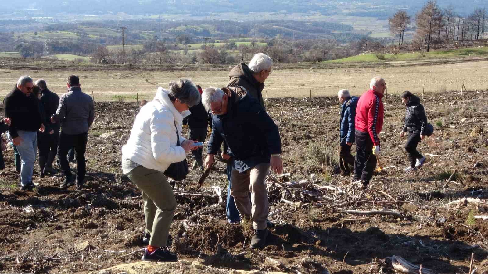 Trafik kazasında hayatını kaybeden gen&ccedil; avukatın adı hatıra ormanında yaşayacak
