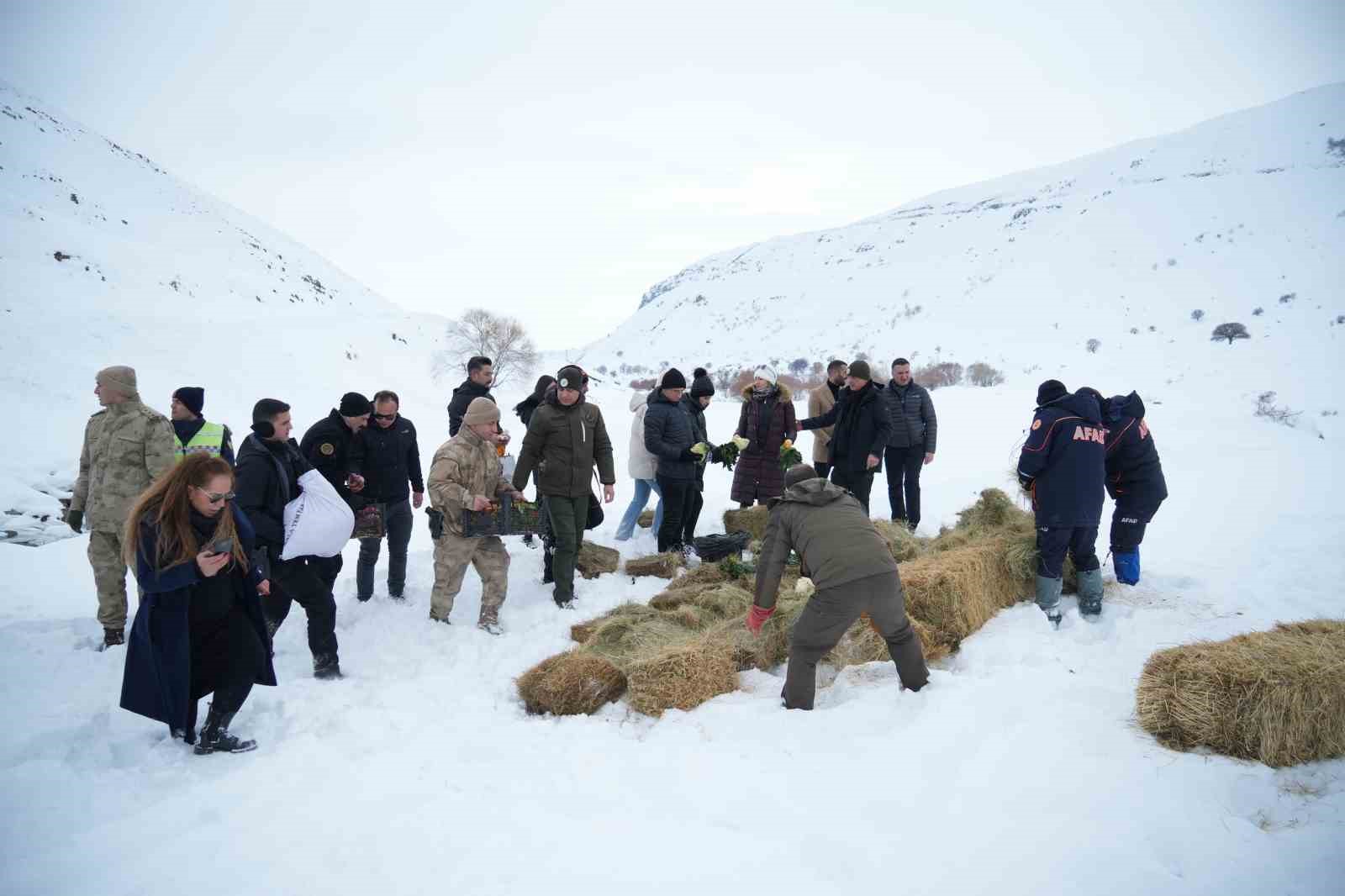 Vali Çakır, yaban hayvanları için karlı dağlara yem bıraktı
