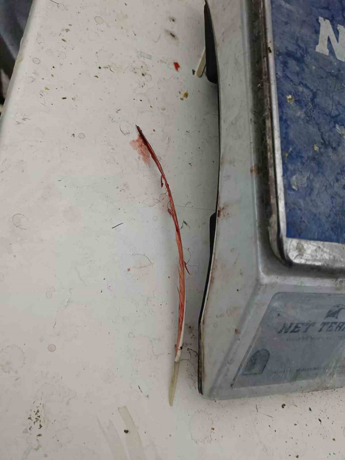 JASAT&rsquo;tan komando destekli horoz d&ouml;v&uuml;ş&uuml; operasyonu
