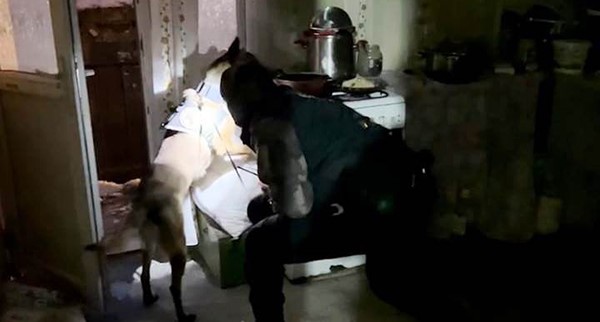 Bitlis’te uyuşturucu operasyonu: 9 tutuklama