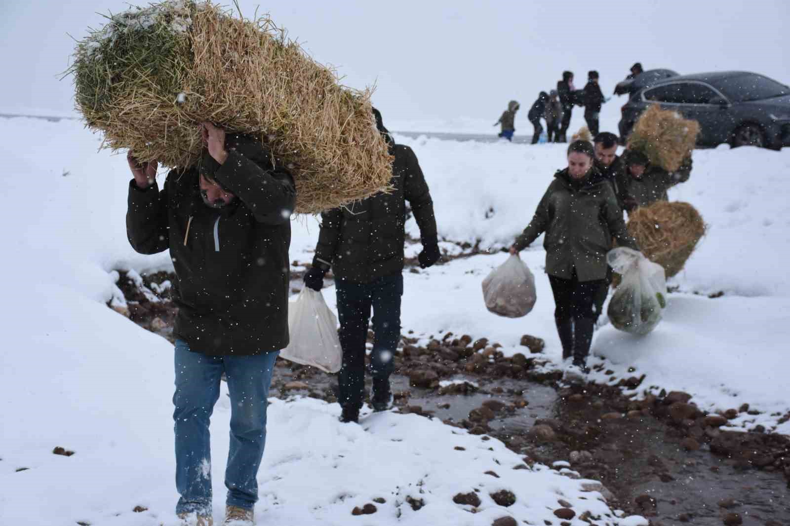 Şırnak&rsquo;ta yaban hayvanları unutulmadı, doğaya yem bırakıldı
