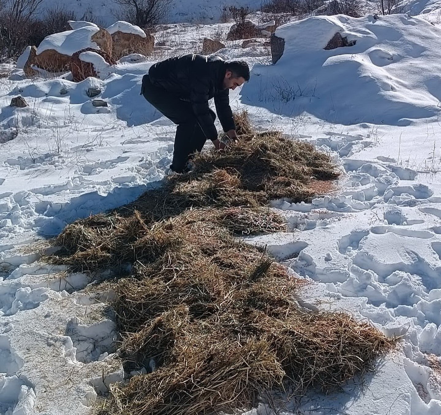 Yaban hayvanları unutulmadı
