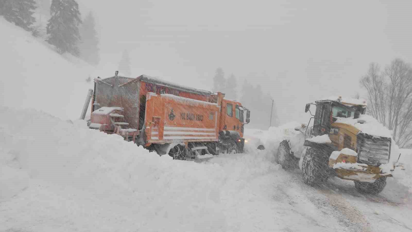 Artvin-Ardahan karayoluna çığ düştü
