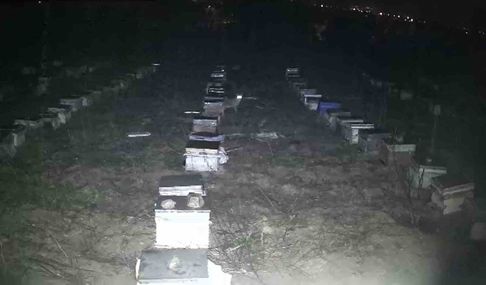 Tokat&rsquo;ta &ccedil;akallar bal peteklerine dadandı
