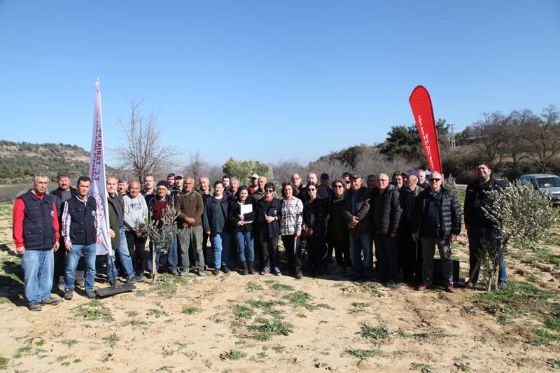 &Ccedil;anakkale&rsquo;de Zeytin Yetiştiricilerine eğitim verildi
