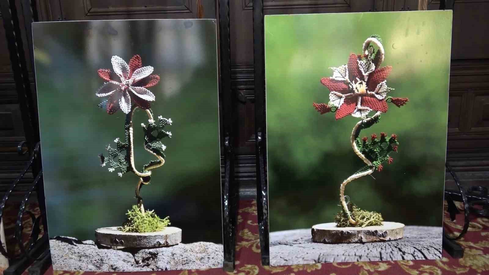 K&uuml;tahya Olgunlaşma Enstit&uuml;s&uuml; şehre değer kattı
