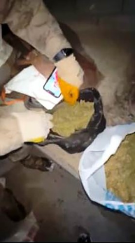 Bitlis&rsquo;te 10 kilo 200 gram skunk maddesi ele ge&ccedil;irildi
