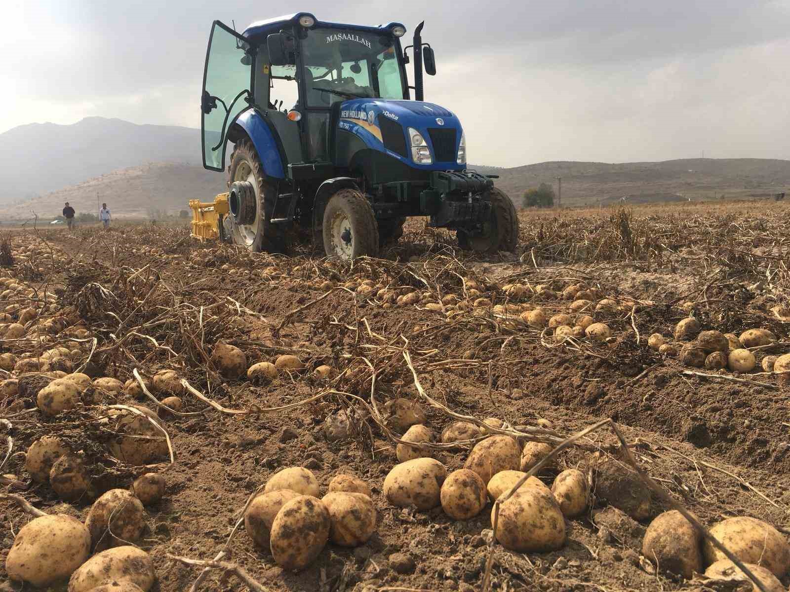 Ziraat Odası Başkanı Kenar: "Patates fiyatlarında artış yok"