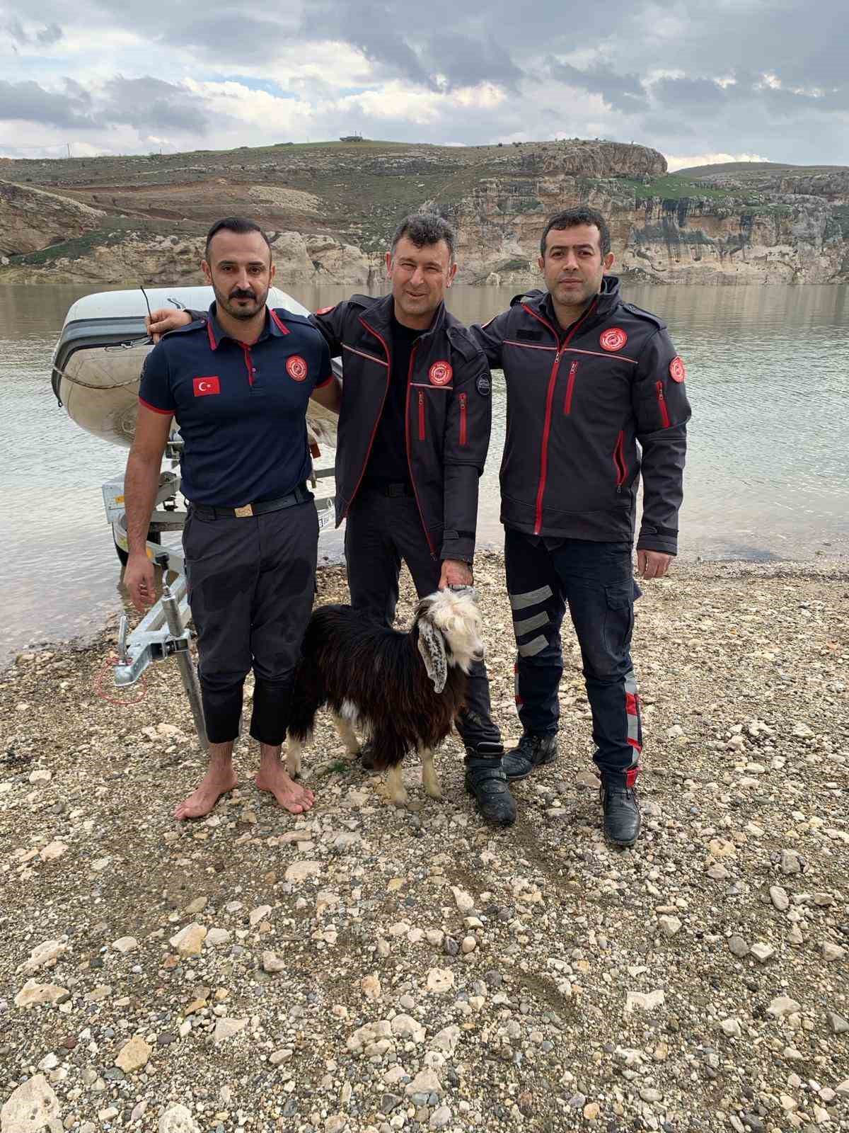 İtfaiye eri kayalıklarda kurtardığı keçiyi sırtında taşıyarak indirdi
