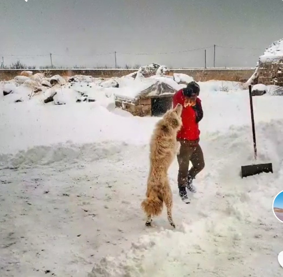 K&ouml;peğin dronla imtihanı
