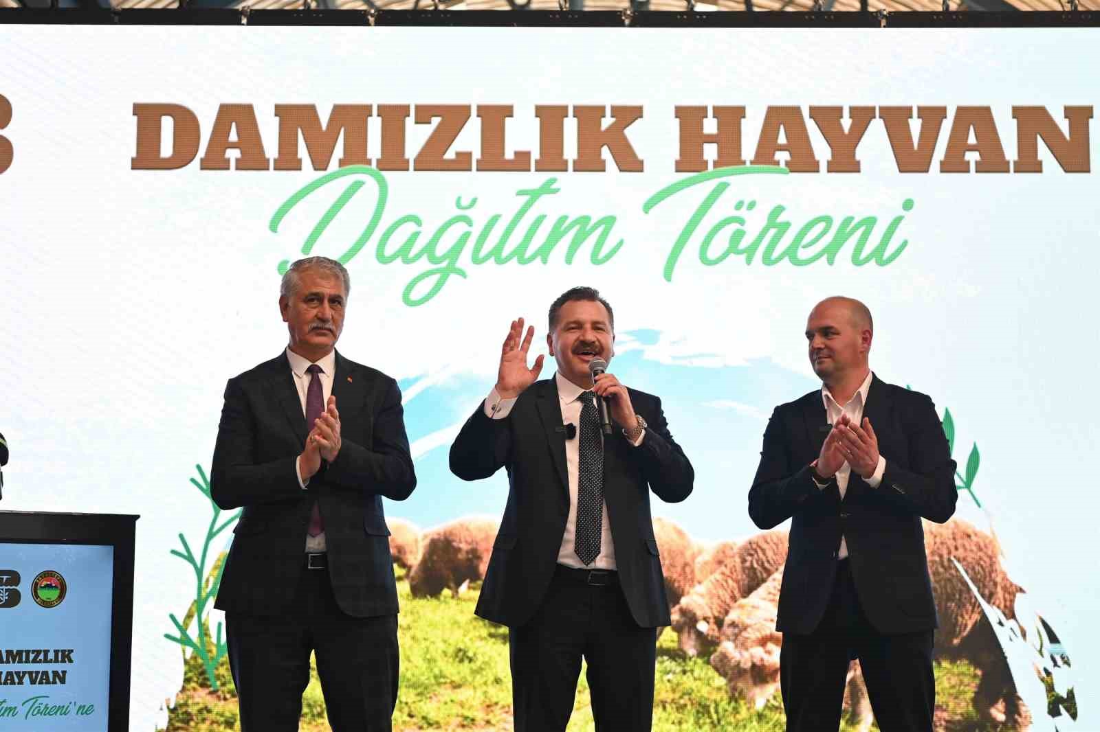 Balıkesir Büyükşehir Belediyesi, Savaştepe’de 550 küçükbaş dağıttı