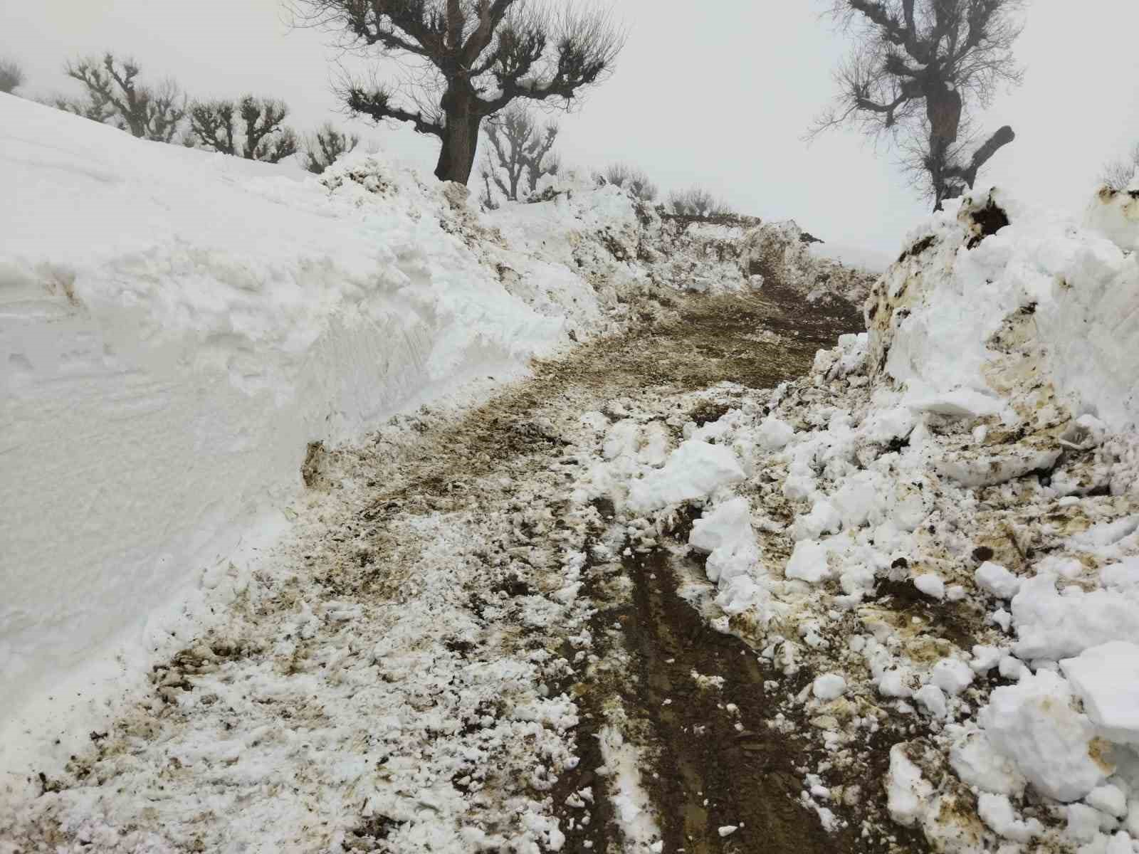 Batman’da kar nedeniyle kapalı 227 yol ulaşıma açıldı