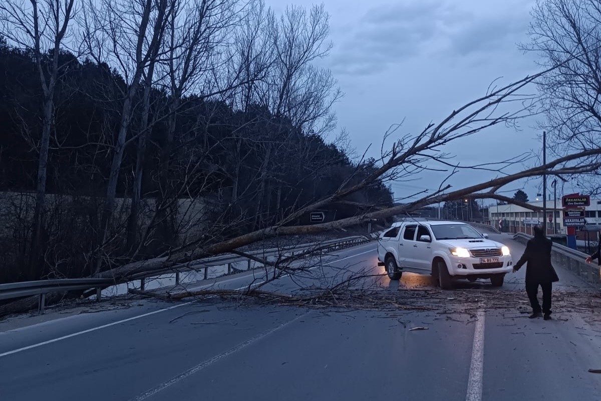 Bolu-Mudurnu yolunda devrilen ağaç yolu trafiğe kapattı
