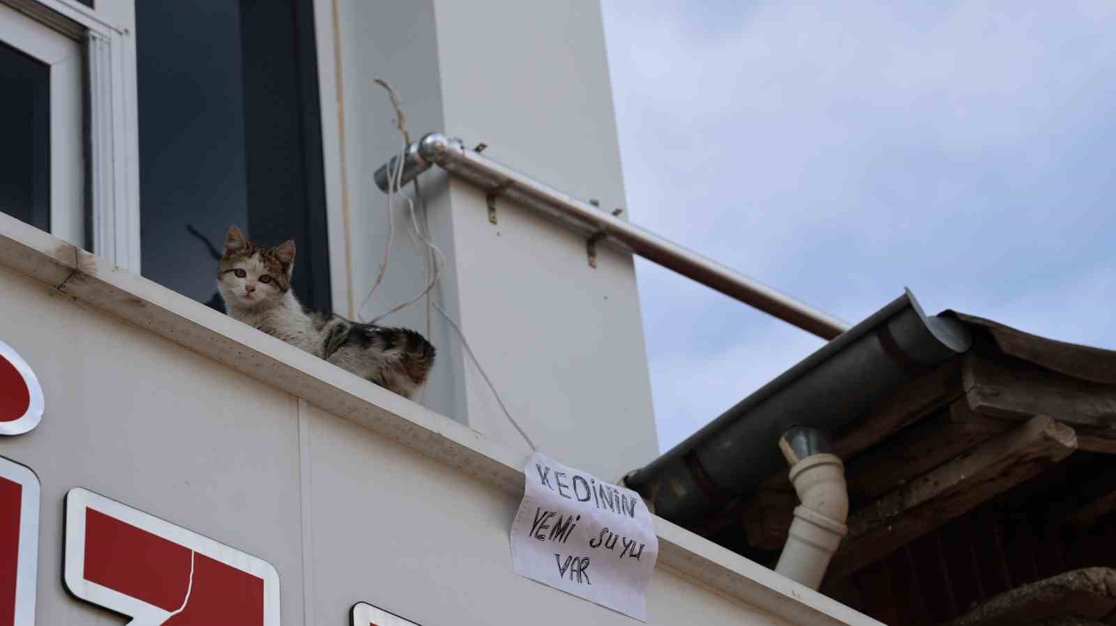 Kedi için balkonuna ekmek atanları yazı asıp uyardı: "Kedinin yemi, suyu var"
