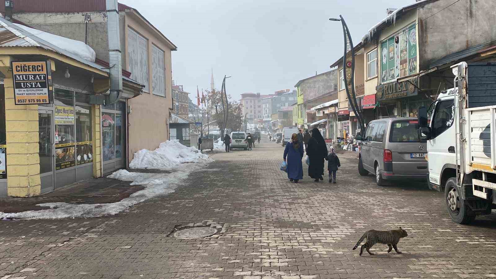Karlıova&rsquo;da eski kış aylarından eser yok
