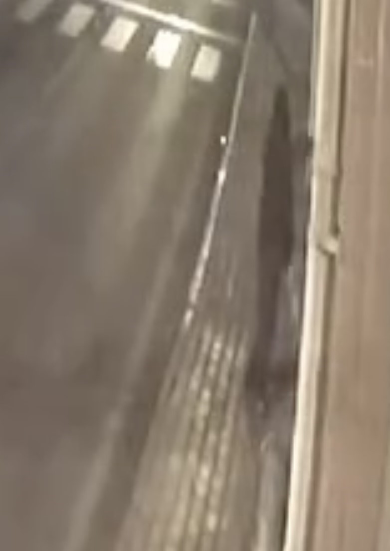 Kırklareli Belediyesi şirket binasında yangın &ccedil;ıkaran ş&uuml;pheli tekrar g&ouml;zaltına alındı
