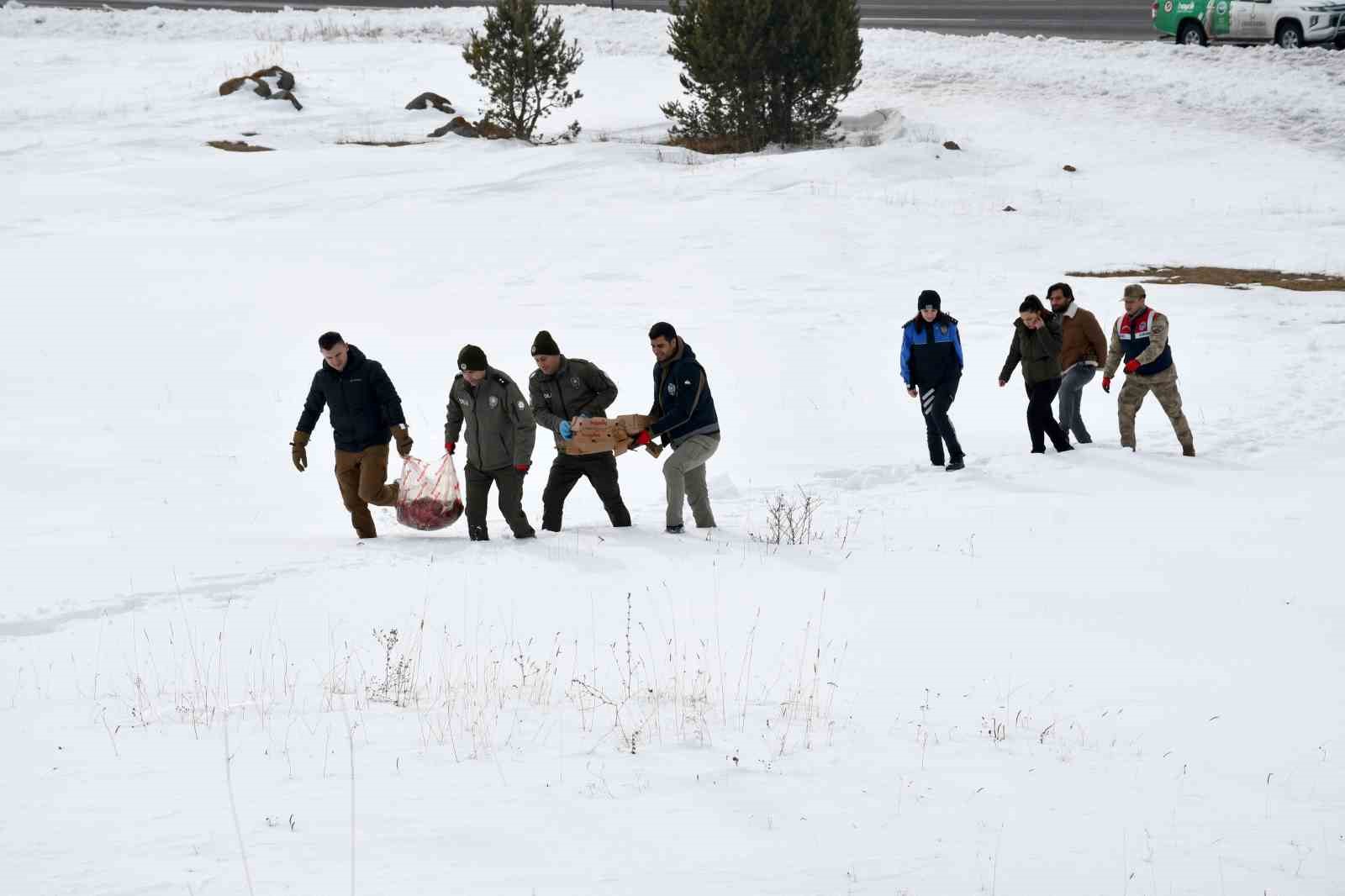 Ardahan’da yaban hayatı için araziye yem bırakıldı