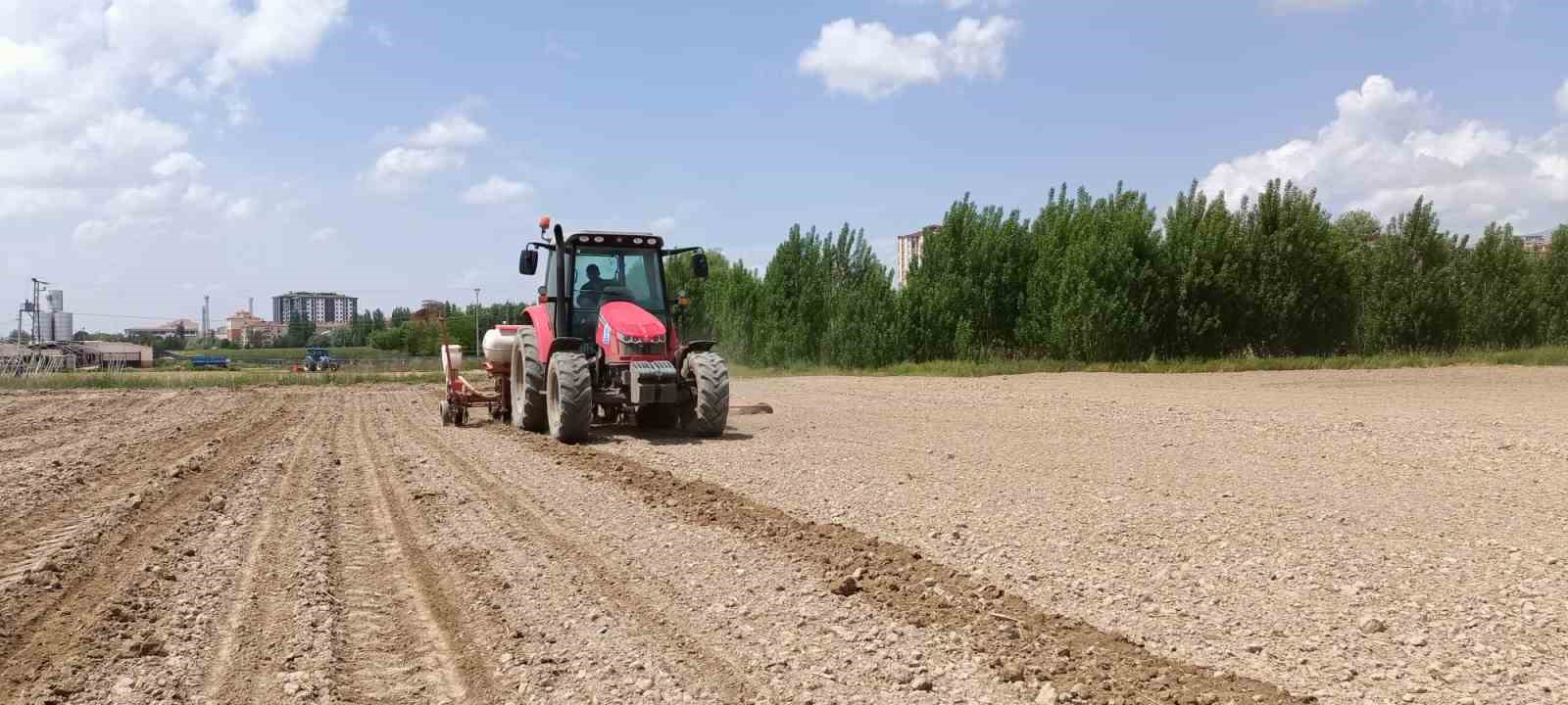 Niğde Patates Araştırma Enstitüsü’ne işçi alınacak